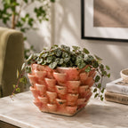 Cactus Planter Square - Petal Pattern