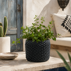 Cactus Planter - Loop Pattern