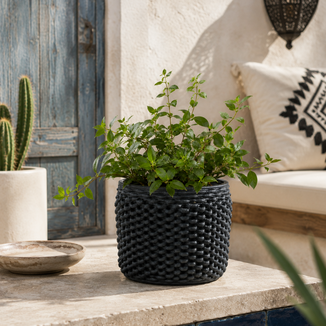 Cactus Planter - Loop Pattern