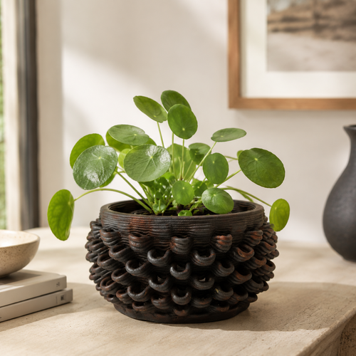 Cactus Planter - Petal Pattern