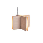 Pendant - TILX 'X'