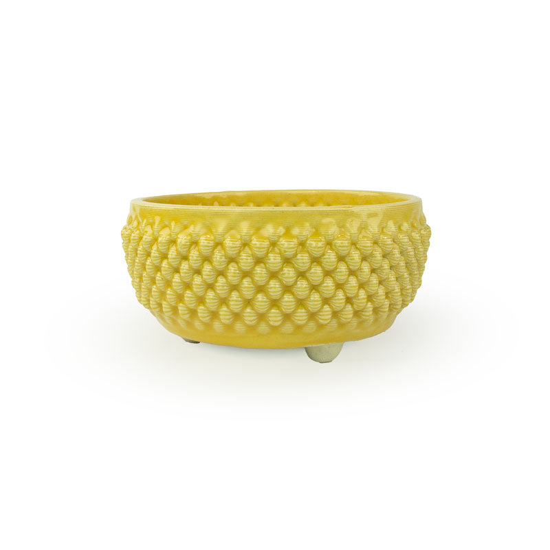 Planter Bowl- Dot Pattern