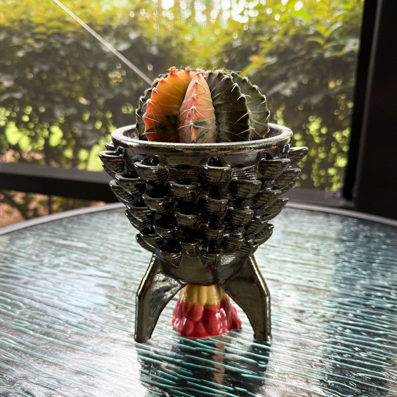 Cactus Planter - Rocket Petal Pattern