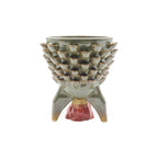 Cactus Planter - Rocket Petal Pattern
