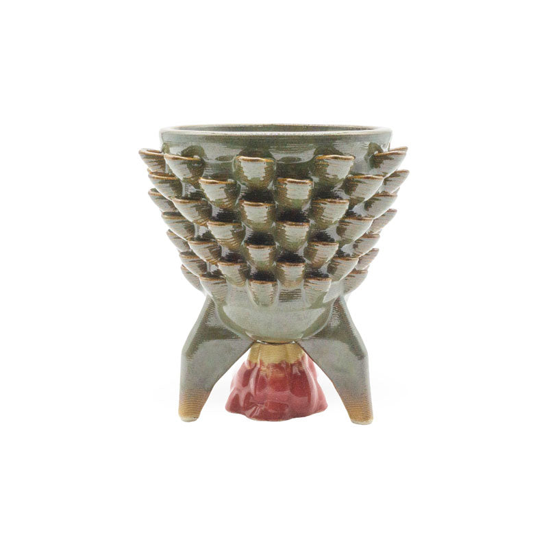 Cactus Planter - Rocket Petal Pattern