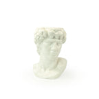 Snow colored 3D ceramic printed bust sculpture planter of David on a white background