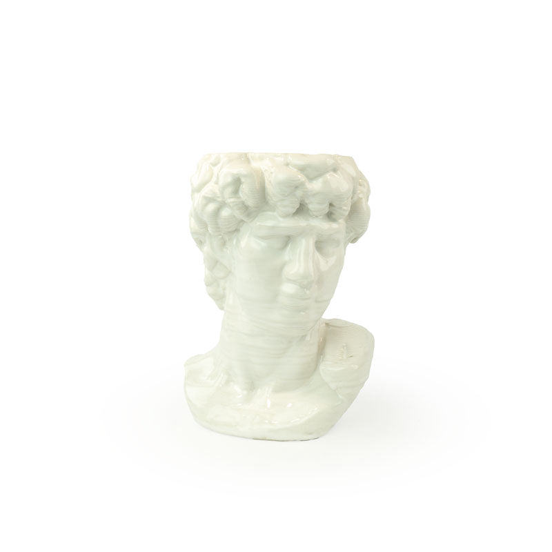 Snow colored 3D ceramic printed bust sculpture planter of David on a white background