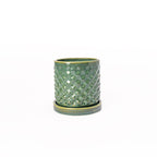 Emerald falls colored 3D printed ceramic planter with a dot pattern, with a tray on a white background