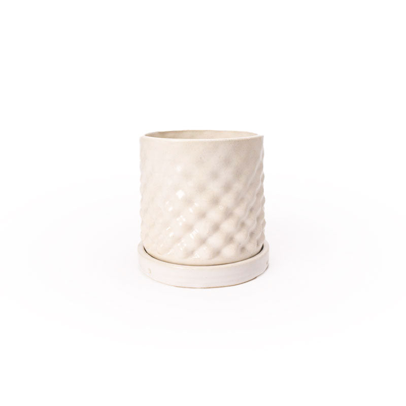 Snow colored 3D printed ceramic planter with a dot pattern, with a tray on a white background