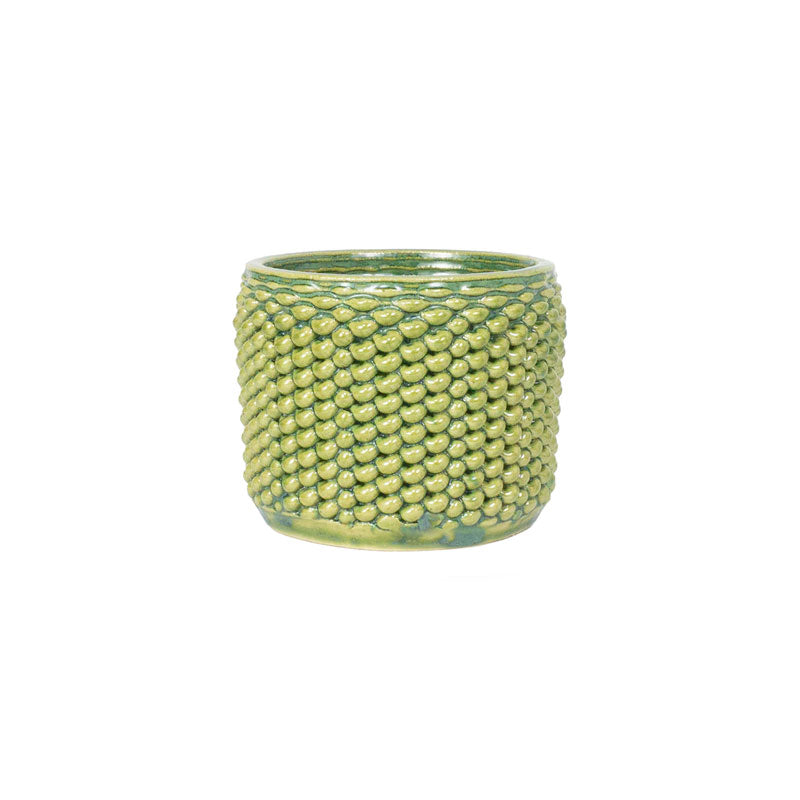 Cactus Planter - Loop Pattern