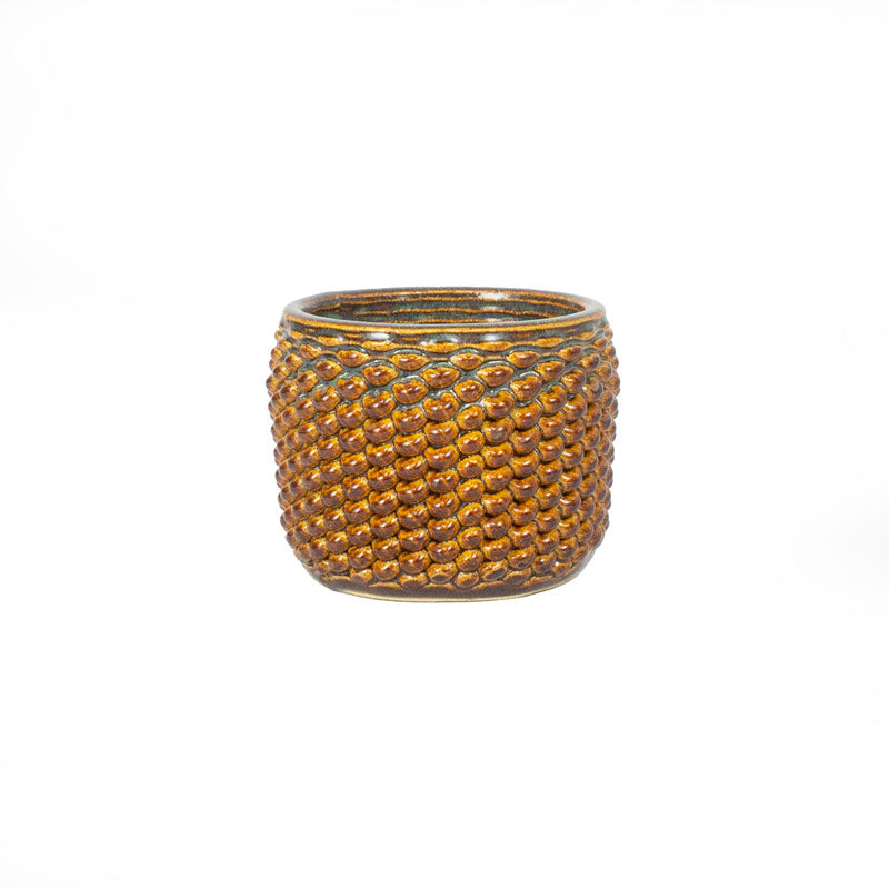 Cactus Planter - Loop Pattern