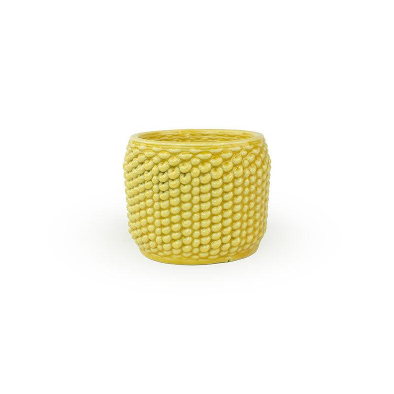 Cactus Planter - Loop Pattern