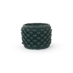 Cactus Planter - Petal Pattern