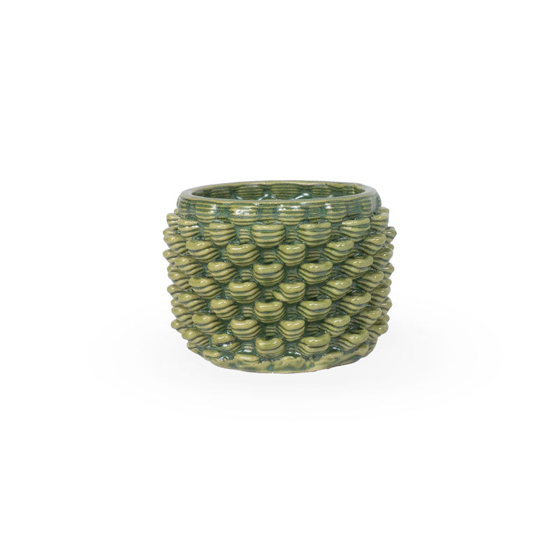 Cactus Planter - Petal Pattern