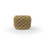 Cactus Planter - Petal Pattern