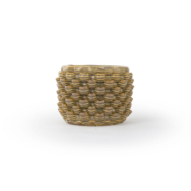 Cactus Planter - Petal Pattern