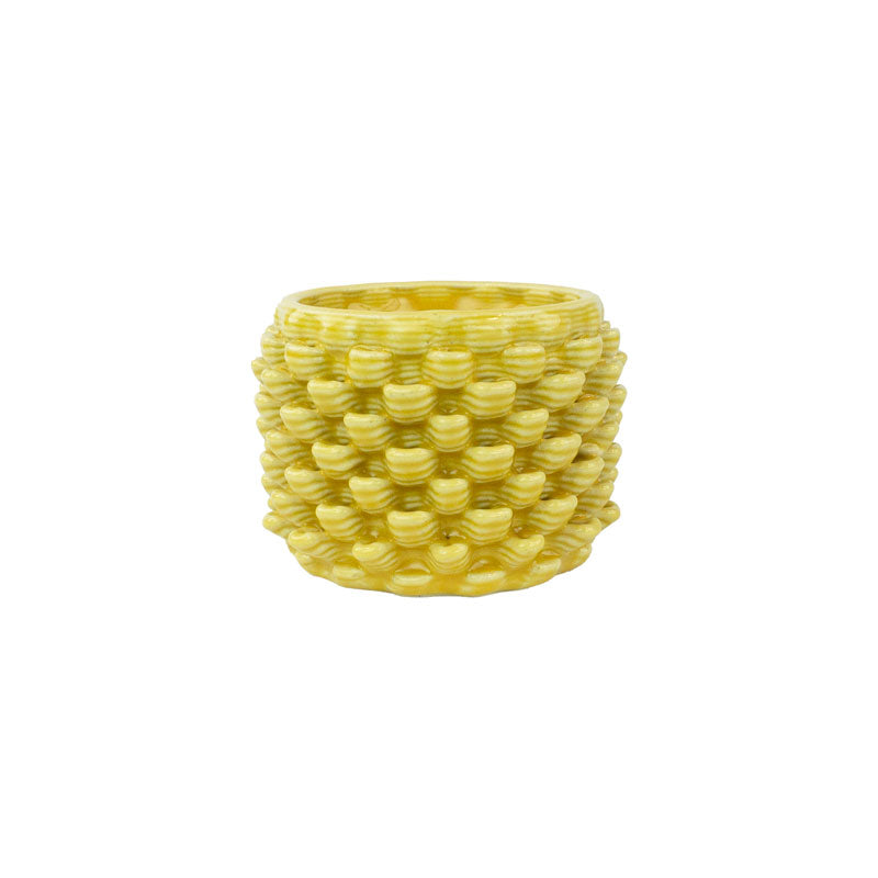 Cactus Planter - Petal Pattern