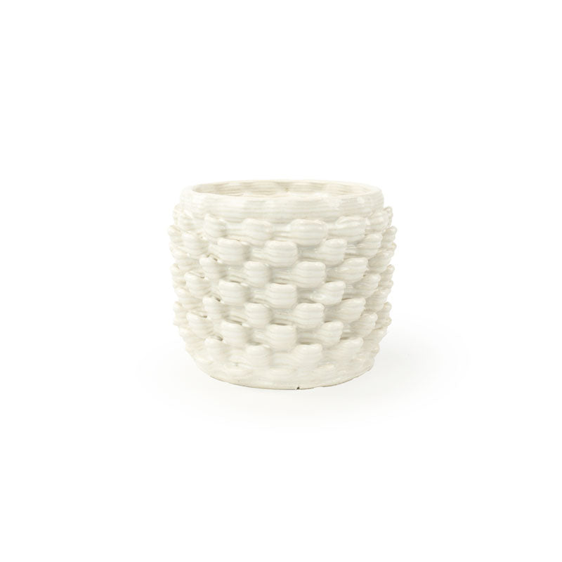 Cactus Planter - Petal Pattern
