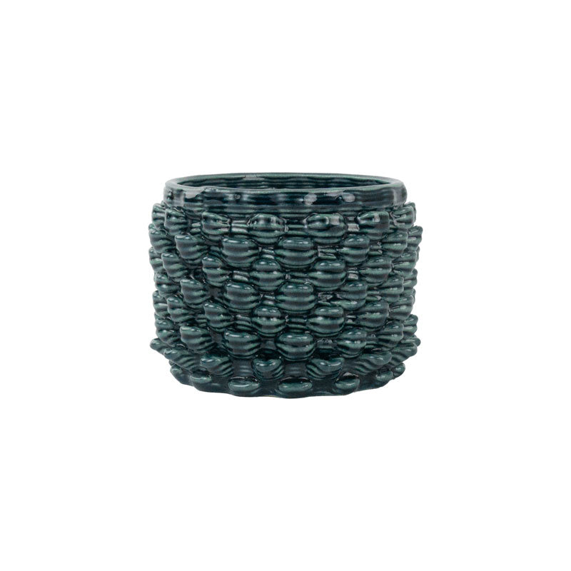 Cactus Planter - Petal Pattern
