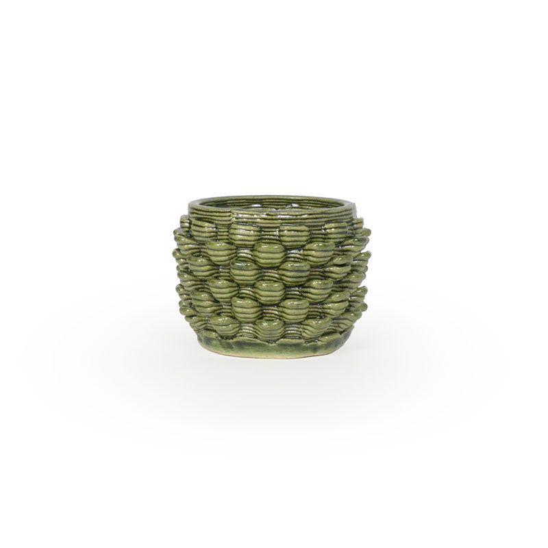 Cactus Planter - Petal Pattern