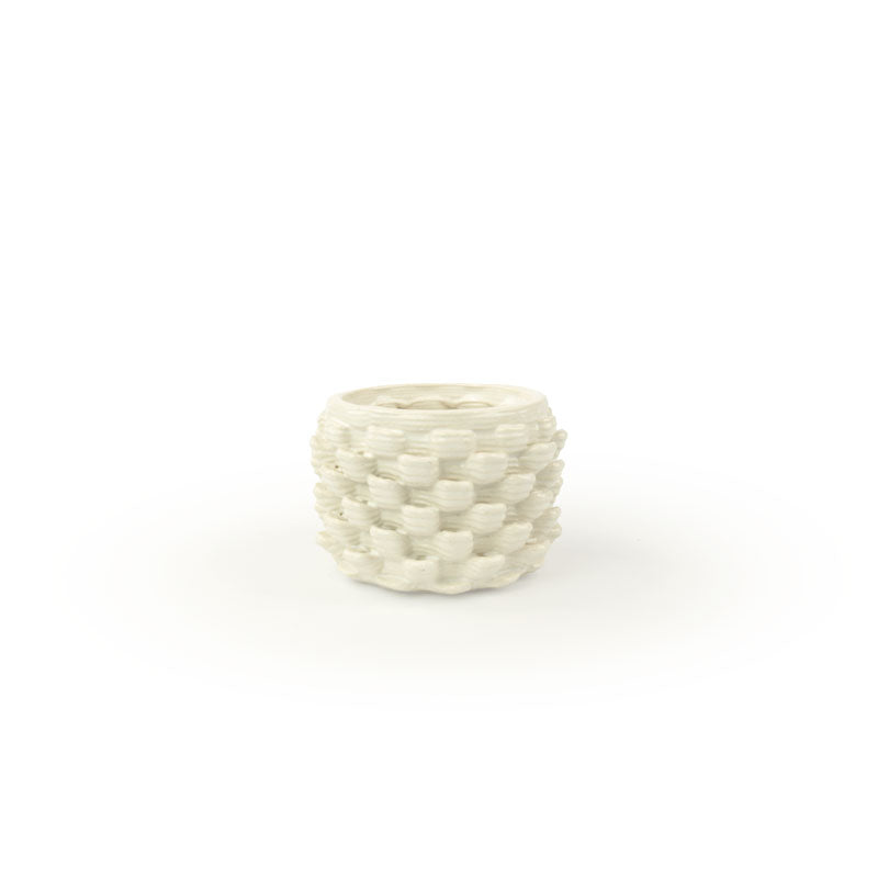 Cactus Planter - Petal Pattern