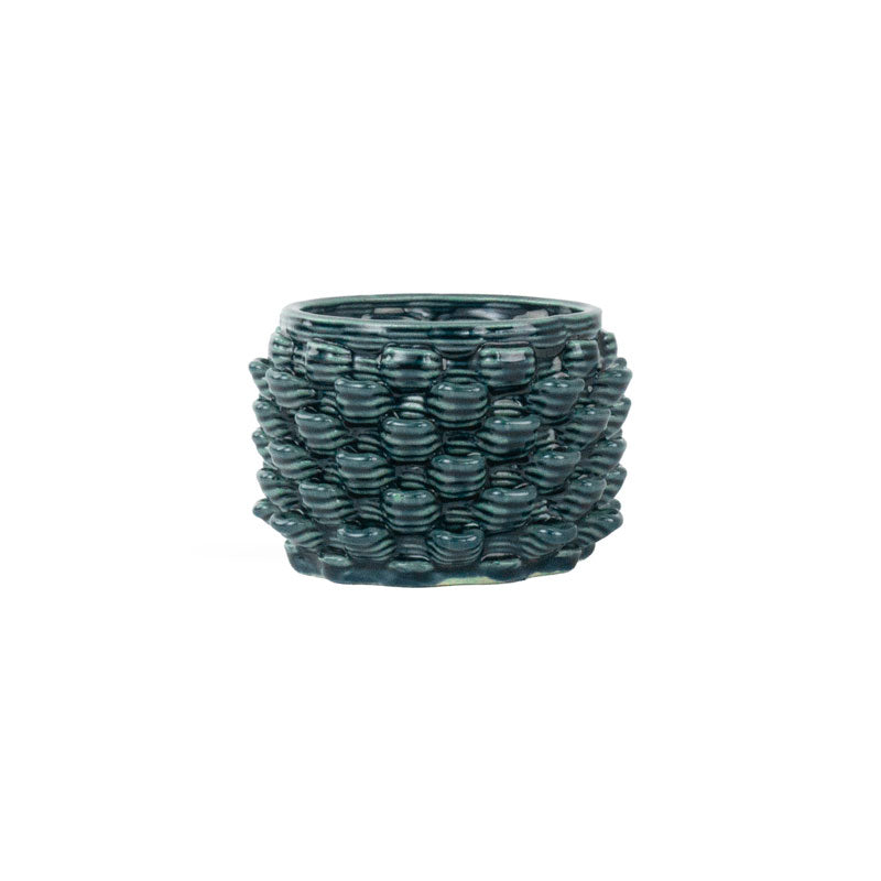 Cactus Planter - Petal Pattern