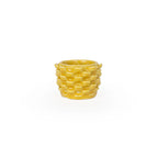 Cactus Planter - Petal Pattern