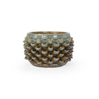 Cactus Planter - Petal Pattern