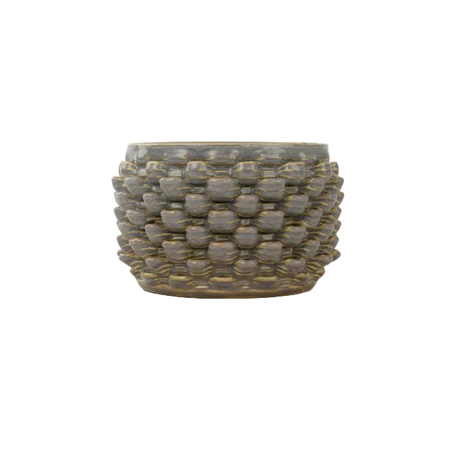Cactus Planter - Petal Pattern