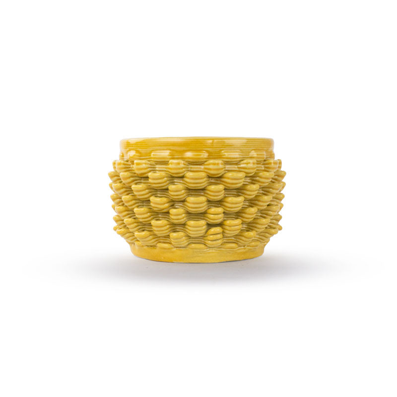 Cactus Planter - Petal Pattern