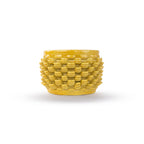 Cactus Planter - Petal Pattern