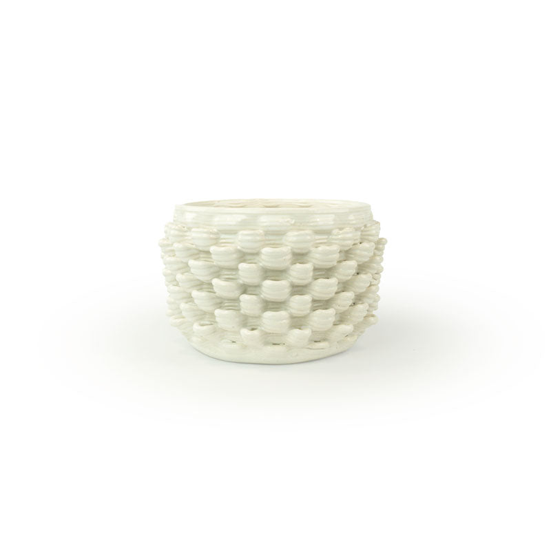 Cactus Planter - Petal Pattern