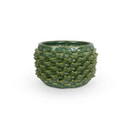 Cactus Planter - Petal Pattern