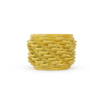 Marigold 3D printed ceramic cactus planter or tea light holder with a twist pattern, on a white background