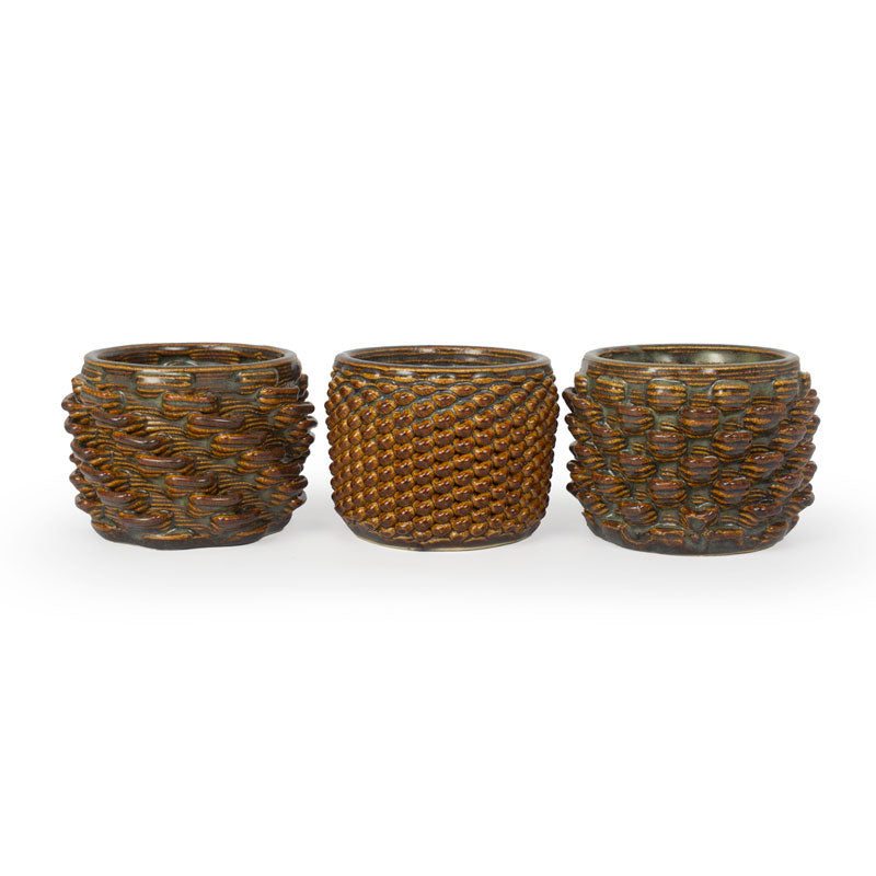 Cactus Planter - Loop + Twist + Petal - Set of 3 - One each pattern