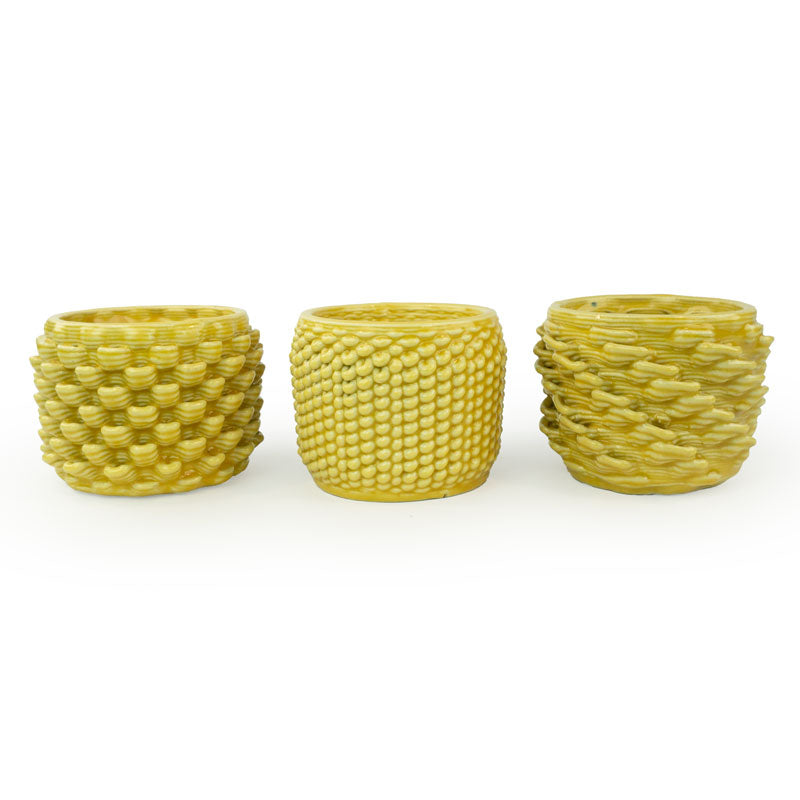 Cactus Planter - Loop + Twist + Petal - Set of 3 - One each pattern