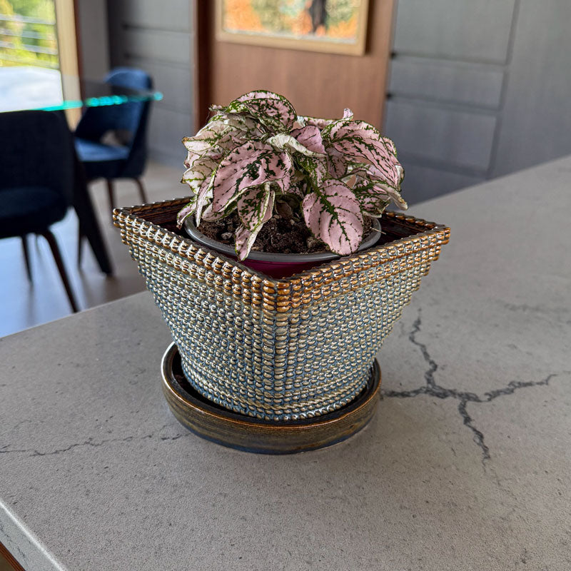 Planter - Square - Micro Scallop Pattern