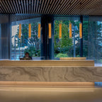 Modern interior with a reception desk and large windows showing greenery outside, with pendant light hanging