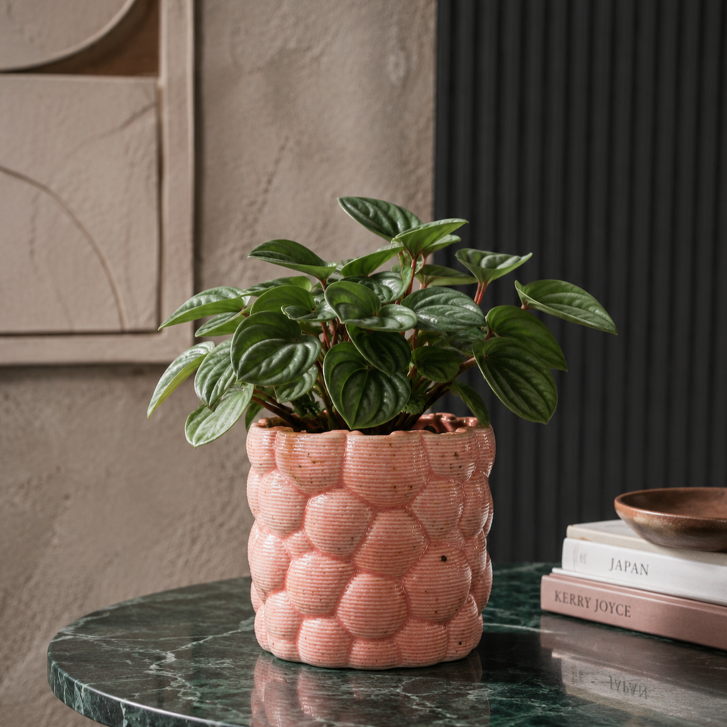 Planter - Bubble Pattern