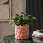 Planter - Bubble Pattern