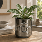 Planter - Seattle Skyline